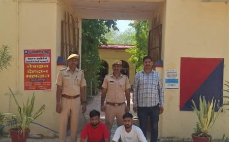 स्कॉर्पियो से 1.600 किलो अफीम दूध बरामद:दो तस्कर किए गए गिरफ्तार; देसूरी नाल पर नाकाबंदी के दौरान की गई कार्रवाई