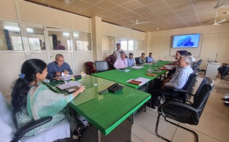 जिला कलक्टर ने सभी सरकारी भवनों पर रूफटॉप सौर ऊर्जा संयंत्र स्थापित करने के दिए निर्देश