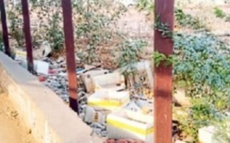 मीट - मछली के अपशिष्ट फैंकने से वातावरण दूषित, आमजन परेशान
