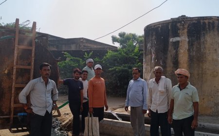 बाघोली मैं समाज सेवकों द्वारा डलवाया जा रहा हैं जानवरों के लिए पानी