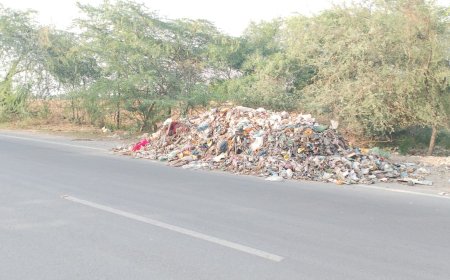 सड़क किनारे रात के अंधेरे में डाल रहे कचरा, आमजन हो रहे परेशान