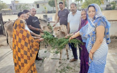 बेसहारा जानवरो के लिए पानी का किया इंतजाम