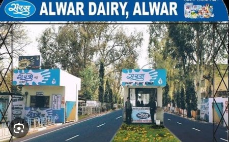 आरसीडीएफ जयपुर एमडी ने अलवर सरस डेयरी मे भ्रष्टाचार की जांच के लिए एसीबी महानिरीक्षक को लिखा पत्र