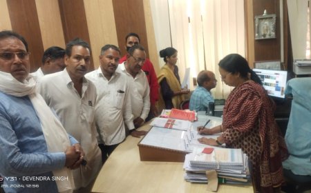 उपनगर पुर की विभिन्न समस्याओं को लेकर कलेक्टर से मिला पुर का प्रतिनिधिमंडल