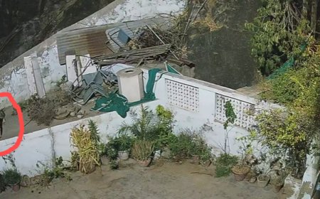 बघेरे के घर में घुसने से दहशत व्याप्त