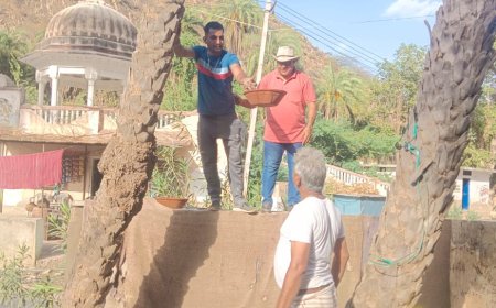 चिराना में पक्षियों के लिए बांधे पानी के परिंडे