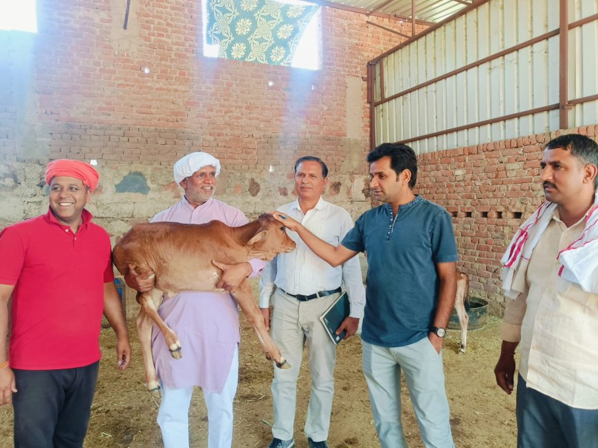 श्रीमोनी बाबा गौशाला का तहसीलदार ने किया निरीक्षण