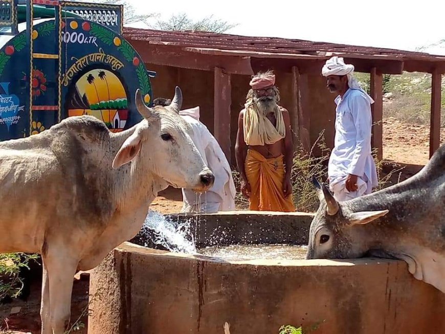 प्रत्येक गांव /कस्बे में पशु पक्षियों के चारा, दाना-पानी की व्यवस्था किए जाने के आदेश हुए जारी