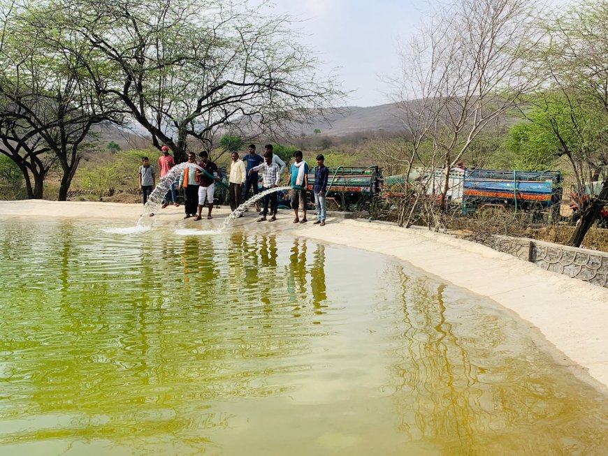 माचाड़ी व राजगढ़ के बीच पहाड़ी घाटियों में पक्षियों के लिए लगाए 51 परिंडे व पशुओं के लिए रखी पानी की बडी ग्यारह कुंडी़या