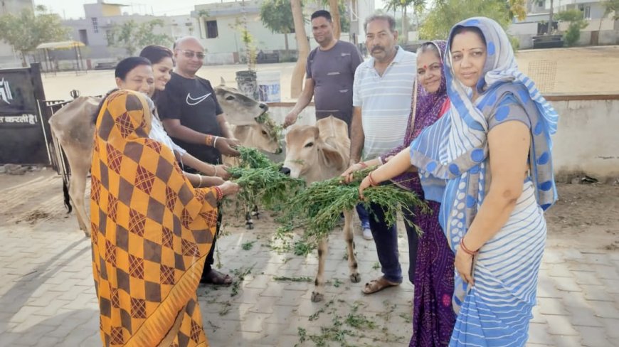 बेसहारा जानवरो के लिए पानी का किया इंतजाम