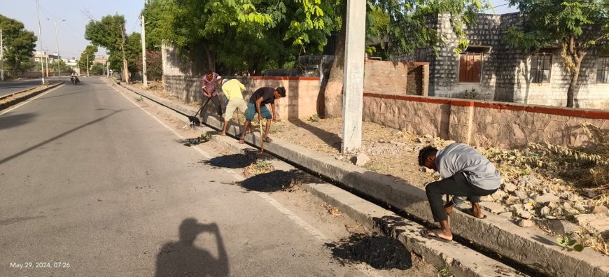 नगर पालिका ने शहर में चलाया नाला सफाई अभियान