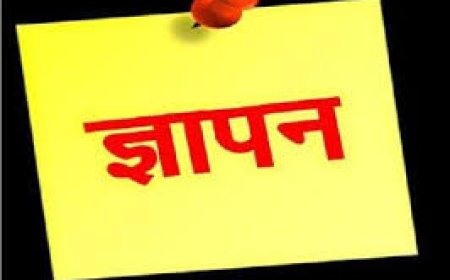 लंबे समय से बनी पेयजल किल्लत को लेकर ग्रामीणो ने थानागाजी उपखंड अधिकारी को सौंपा ज्ञापन