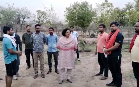 उपखंड अधिकारी ने किया गौशालाओं का निरीक्षण