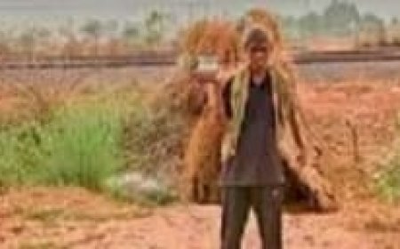 भीषण गर्मी में रोज पहाड़ों में जाकर पक्षियों के लिए करते हैं दाना - पानी का इंतजाम