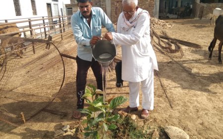 पर्यावरण दिवस पर मदनलाल भावरिया बोले पेड़ लगाओ ,पेड़ बचाओ,पर्यावरण सुधारो