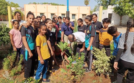 लाड़ो ने मनाया विश्व पर्यावरण दिवस