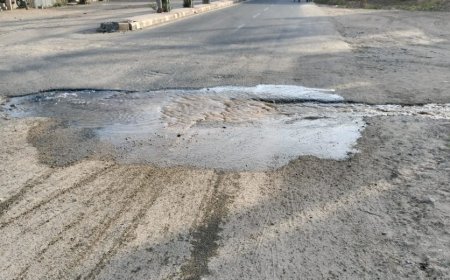 प्रशासन की लापरवाही से जल बचाओ मुहिम हो रही विफल,जलदाय विभाग की लाईन से पानी लिक होकर व्यर्थ बह रहा