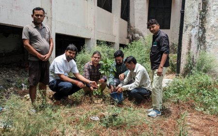 पौधों के बिना जीवन की कल्पना नहीं:फलदार छायादार और औषधीय पौधे लगाए