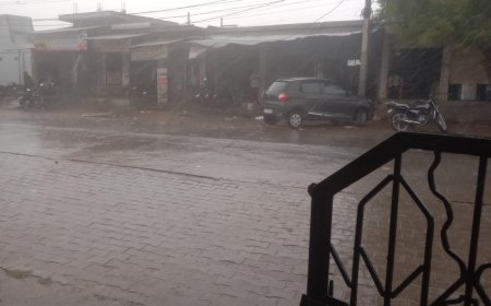 रैणी क्षेत्र मे हल्की सी बारिश होने से गर्मी से राहत