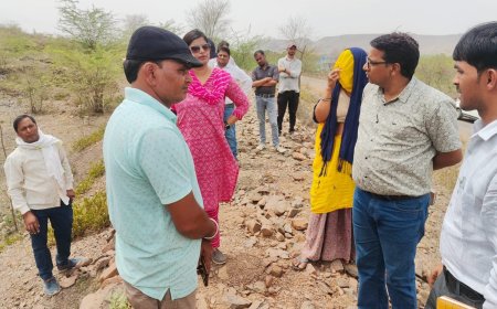 सीईओ ने मनरेगा कार्यों का किया औचक निरीक्षण : अधिक से अधिक श्रमिकों को रोजगार देने के दिए निर्देश