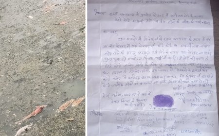 कनवाडा मे स्थित प्राचीन काल के पोखर में नहीं थम रही है मछलियों के मरने की समस्या