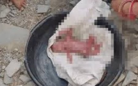 सरकारी स्कूल के पास सार्वजनिक शौचालय नवजात को छोड़ा