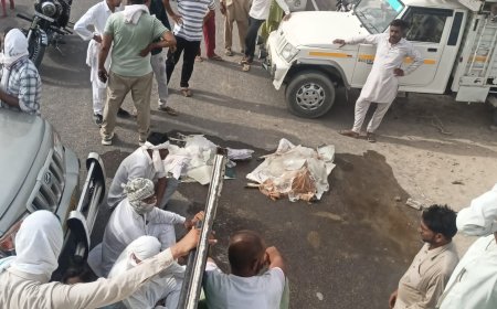 संदिग्ध हालत में मृत मिले दो चिंगारा हिरण ग्रामीणों में आक्रोश