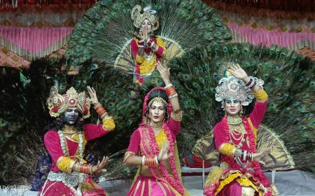 नौगावा लाखों भक्तों ने दंडोति लगाकर बाबा  लालदास के टेका माथा, भक्तों को गर्मी से मिली राहत