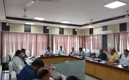 विकास कार्यों को सभी विभाग गुणवत्ता के साथ निर्धारित समयावधि में पूरा करायें: जिला कलक्टर