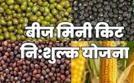 कृषि विभाग द्वारा लघु एवं सीमान्त कृषकों को 26 लाख निःशुल्क बीज मिनीकीटों का वितरण