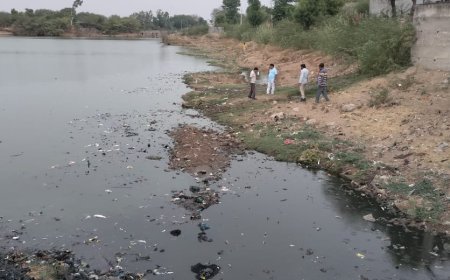 तखतगढ तालाब में हजारों मछलियां मरने से मचा हड़कंप 