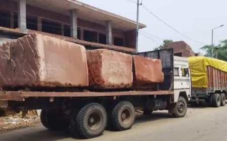 वन विभाग की टीमों ने अवैध खनन के सैंड स्टोन से भरे ट्रेलर, ट्रैक्टर- ट्रॉली समेत 4 वाहनों को किया जब्त