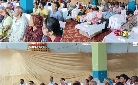 मुख्यमंत्री भजनलाल शर्मा द्वारा सामाजिक सुरक्षा पेंशन योजना की बढ़ी हुई राशि का डीबीटी के माध्यम हुआ हस्तांतरण