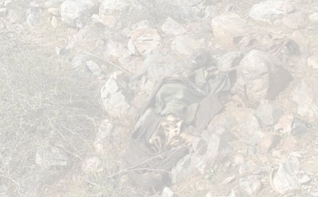 नौगावा तहसील के गाँव पाटा  के जंगलो मे मिली लाश