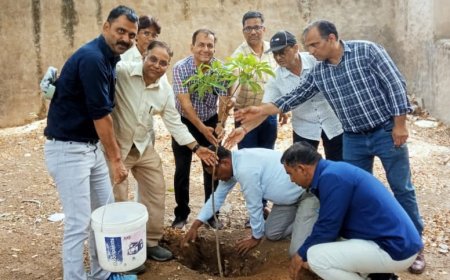 बोर्ड कक्षाओं का परिणाम उत्कृष्ट रहने पर विषयाध्यापकों को बधाई दी, विद्यालय में किया पौधरोपण