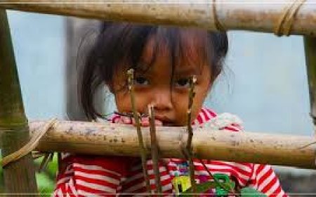 अनाथ व जरूरतमंद बच्चों का बनें सहारा:  बाल संरक्षण इकाई द्वारा दीर्घकालीन देखरेख हेतु आवेदन आमंत्रित