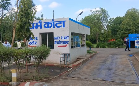 सरस डेयरी के पूर्व चेयरमैन पर गड़बड़ी का आरोप: धर्म कांटे पर चिप लगाकर वाहन का वजन किया ज्यादा