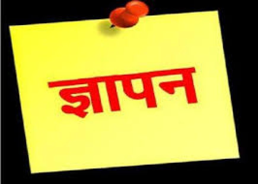 लंबे समय से बनी पेयजल किल्लत को लेकर ग्रामीणो ने थानागाजी उपखंड अधिकारी को सौंपा ज्ञापन