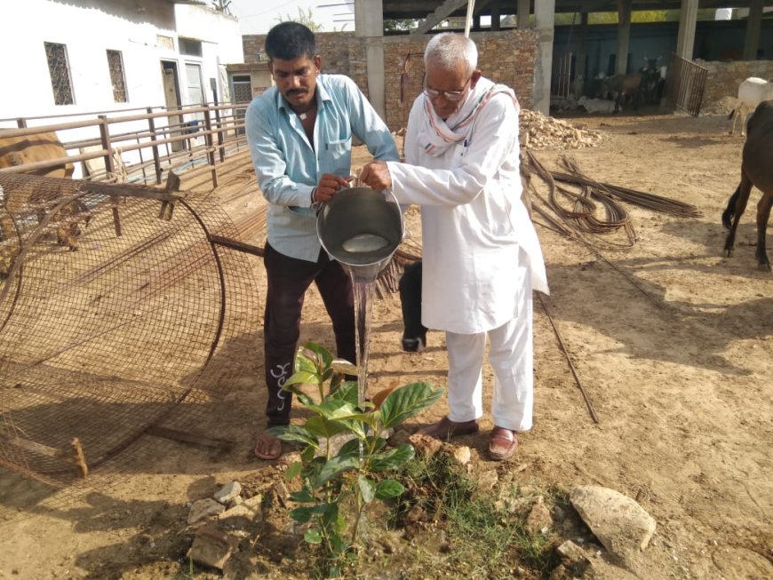 पर्यावरण दिवस पर मदनलाल भावरिया बोले पेड़ लगाओ ,पेड़ बचाओ,पर्यावरण सुधारो