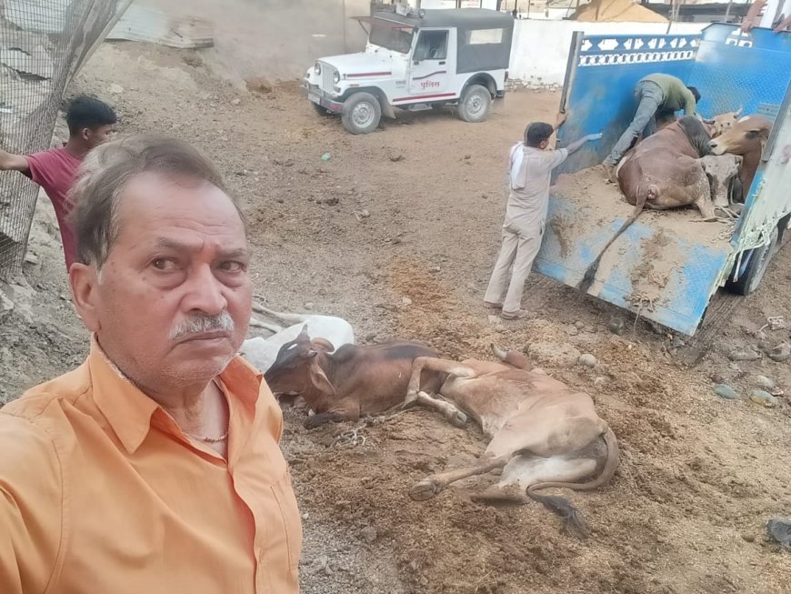 महुवा पीपलखेड़ा में वाहन का टायर फट जाने के कारण गौतस्कर गौवंश से भरे हुये वाहन को हाईवे पर छोड़कर भागे