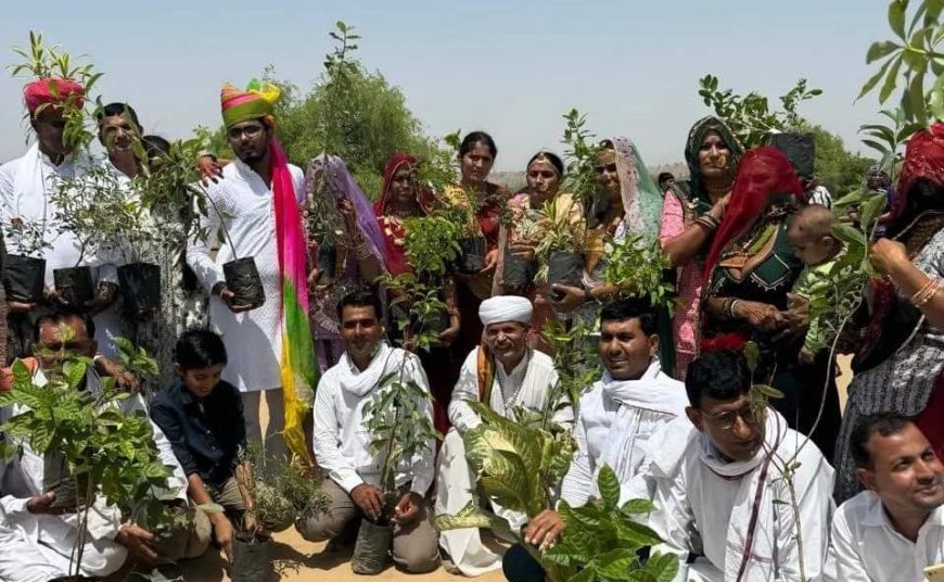 नवविवाहित जोड़े ने 363 पेङ-पौधे लगाकर पर्यावरण दिवस पर पेश किया अनूठा उदाहरण