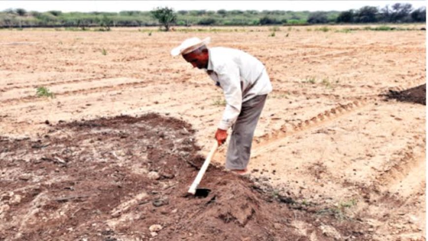 बदला मौसम का मिजाज : बारिश होने पर खेती की तैयारी में जुटे किसान