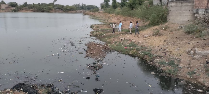 तखतगढ तालाब में हजारों मछलियां मरने से मचा हड़कंप 