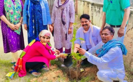 रैणी महिला बाल विकास अधिकारिता विभाग ने कार्यालय के सामने किया पौधारोपण