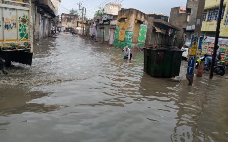 नगरपालिका की पानी निकासी की तैयारी पर उठे सवाल