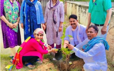 रैणी महिला बाल विकास अधिकारिता विभाग ने कार्यालय के सामने किया पौधा रोपण