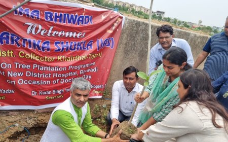 जिला कलक्टर ने वर्षा के कारण  हुए जल भराव क्षेत्र का किया निरीक्षण