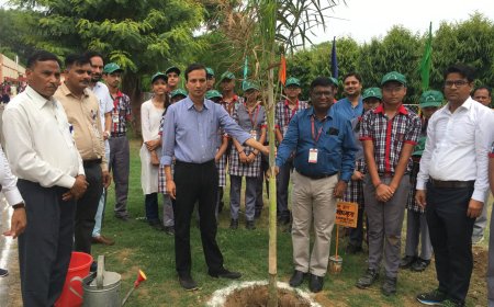 जिला कलक्टर ने केन्द्रीय विद्यालय में किया संभाग स्तरीय खेलकूद प्रतियोगिता का शुभारम्भ