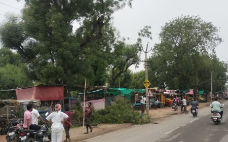 बिजली कर्मियों ने चलाया पेड़ों की छटाई का अभियान