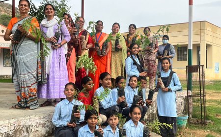 वृक्षारोपण महाअभियान मे पचलंगी के राजकीय बालिका उच्च माध्यमिक विद्यालय में किया वृक्षारोपण